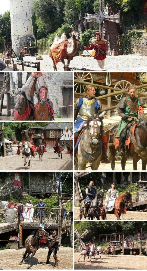 Harmonia Maison De Caractere Proche Provins Gouaix 外观 照片