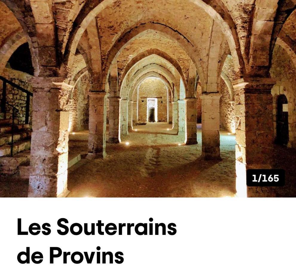 Harmonia Maison De Caractere Proche Provins Gouaix 外观 照片